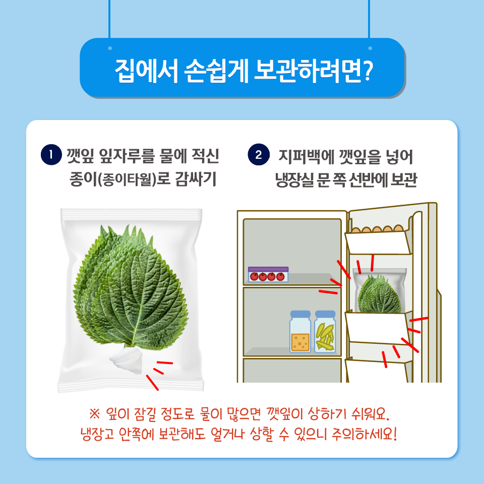 1. 깻잎 잎자루를 물에 적신 종이(종이타월)로 감싸기 2. 지퍼백에 깻잎을 넣어 냉장실 문 쪽 선반에 보관 잎이 잠길 정도로 물이 많으면 깻잎이 상하기 쉬워요. 냉장고 안쪽에 보관해도 얼거나 상할 수 있으니 주의하세요!
