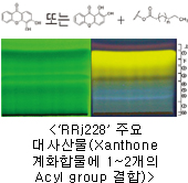 'RRj228' 주요대사산물(Xanthone계화합물에 1~2개의 Acyl group 결합