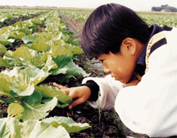 어린이가 밭에서 채소를 관찰하는 모습