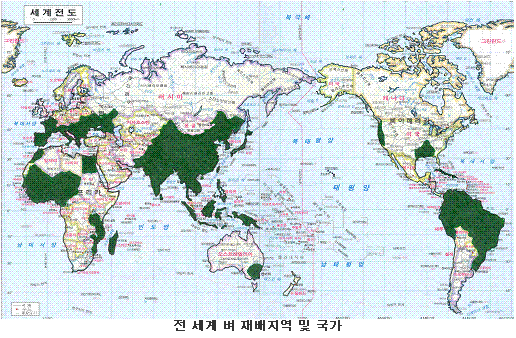 전 세계 벼 재배지역 및 국가