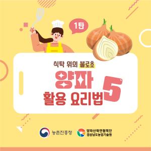 식탁 위의 불로초 양파 활용 요리법 5