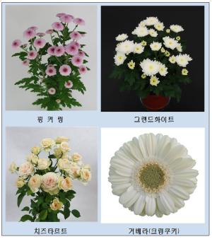 경남도민의 집, 경남 육성 화훼로 꽃단장