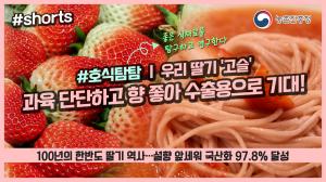 호식탐탐~ 여름에도 먹는 우리 딸기 '고슬' ╰(*°▽°*)╯
