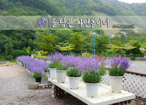 향기 이미지