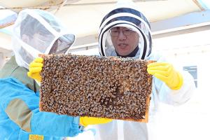 꿀벌위도격리육종장 방문