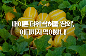 때이른 더위 식혀줄 '참외', 어디까지 먹어봤니!(ft. 생채&스무디)