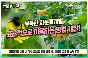 부족한 화분매개벌, 효율적으로 이용하는 방법 개발👍