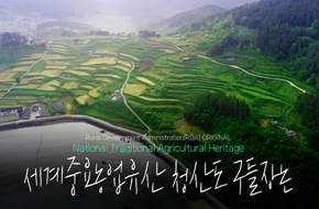 청산도_구들장논_지리적 단점을 딛고 탄생한 농업시스템 구들장논🌾