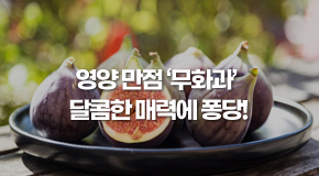 영양 만점 ‘무화과’, 달콤한 매력에 퐁당