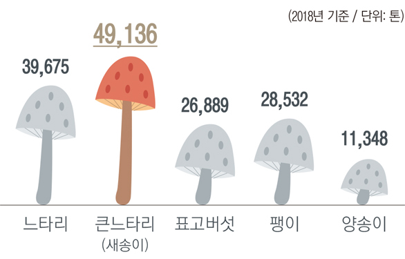 2018년 기준으로 느타리버섯은 39,675톤, 큰느타리(새송이)버섯은 49,136톤, 표고버섯은 26,889톤, 팽이버섯은 28,532톤, 양송이버섯은 11,348톤