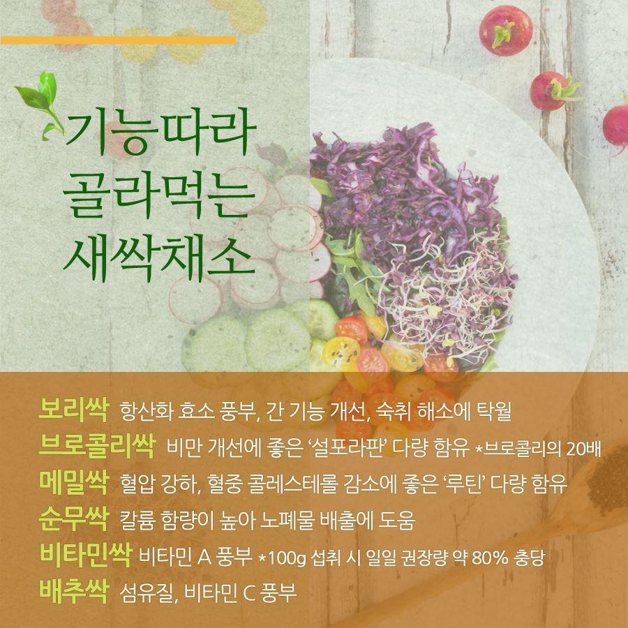 상세보기 < 카드뉴스< 홍보콘텐츠 < 정책홍보 < 농촌진흥청 [카드뉴스]봄 내음 솔솔~새싹채소