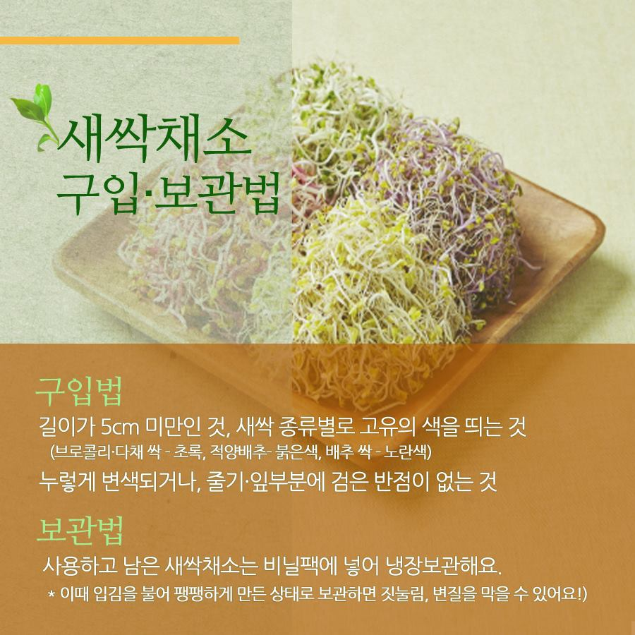 상세보기 < 카드뉴스< 홍보콘텐츠 < 정책홍보 < 농촌진흥청 [카드뉴스]봄 내음 솔솔~새싹채소