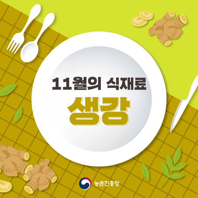 11월의 식재료 생강