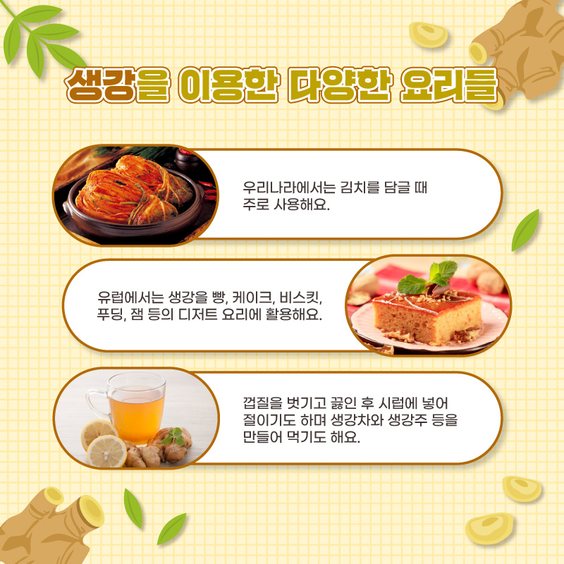 생강을 이용한 다양한 요리들 우리나라에서는 김치를 담글 때 주로 사용해요. 유럽에서는 생강을 빵, 케이크, 비스킷, 푸딩, 잼 등의 디저트 요리에 활용해요. 껍질을 벗기고 끓인 후 시럽에 넣어 절이기도 하며 생강차와 생강주 등을 만들어 먹기도 해요.