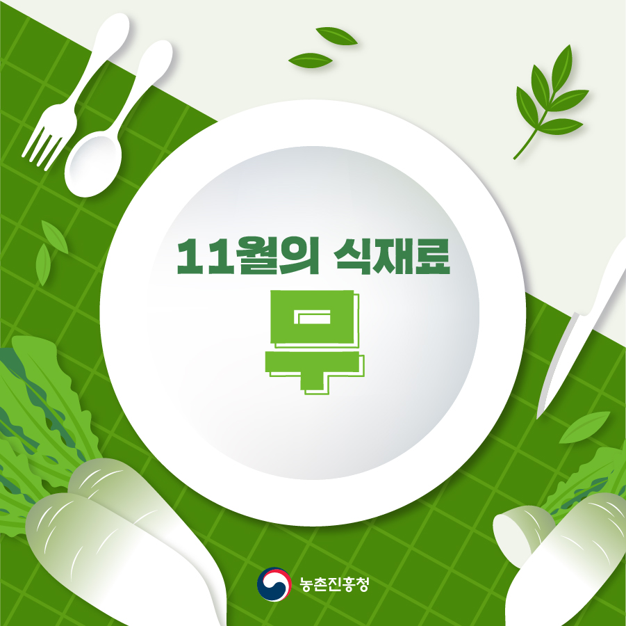 11월의 식재료 무