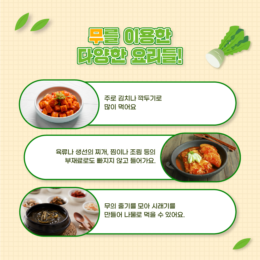 무를 이용한 다양한 요리들! 주로 김치나 깍두기로 많이 먹어요. 육류나 생선의 찌개, 찜이나 조림 등의 부재료로도 빠지지 않고 들어가요. 무의 줄기를 모아 시래기를 만들어 나물로 먹을 수 있어요.