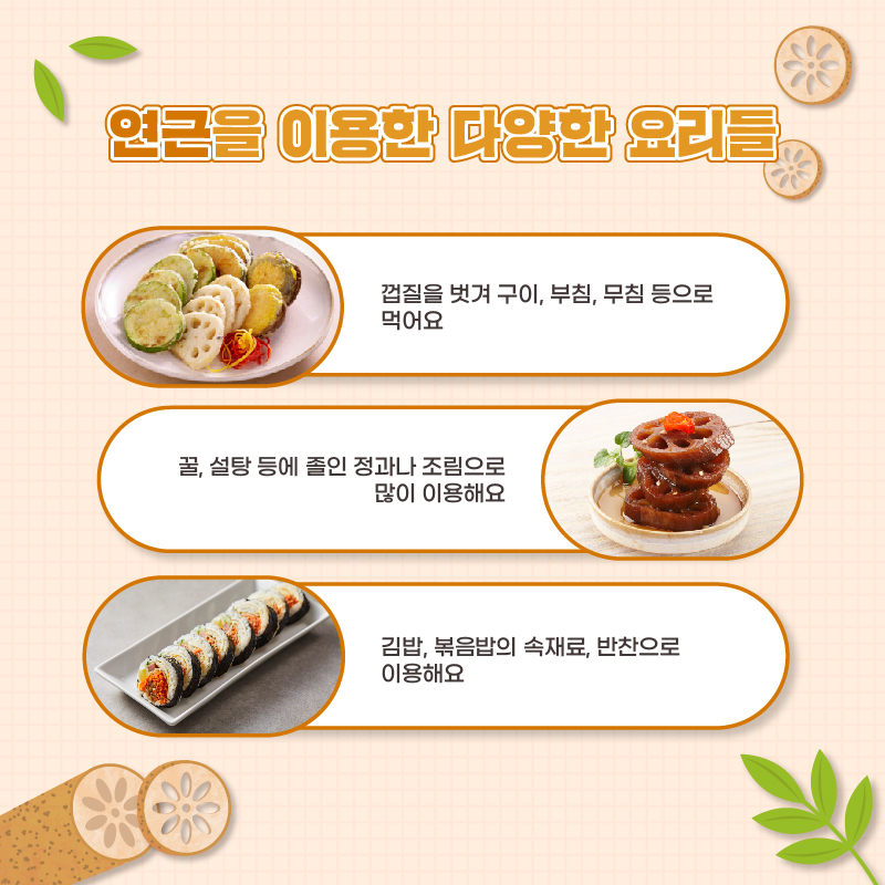 연근을 이용한 다양한 요리들 껍질을 벗겨 구이, 부침, 무침 등으로 먹어요 꿀, 설탕 등에 졸인 정과나 조림으로 많이 이용해요 김밥, 볶음밥의 속재료, 반찬으로 이용해요