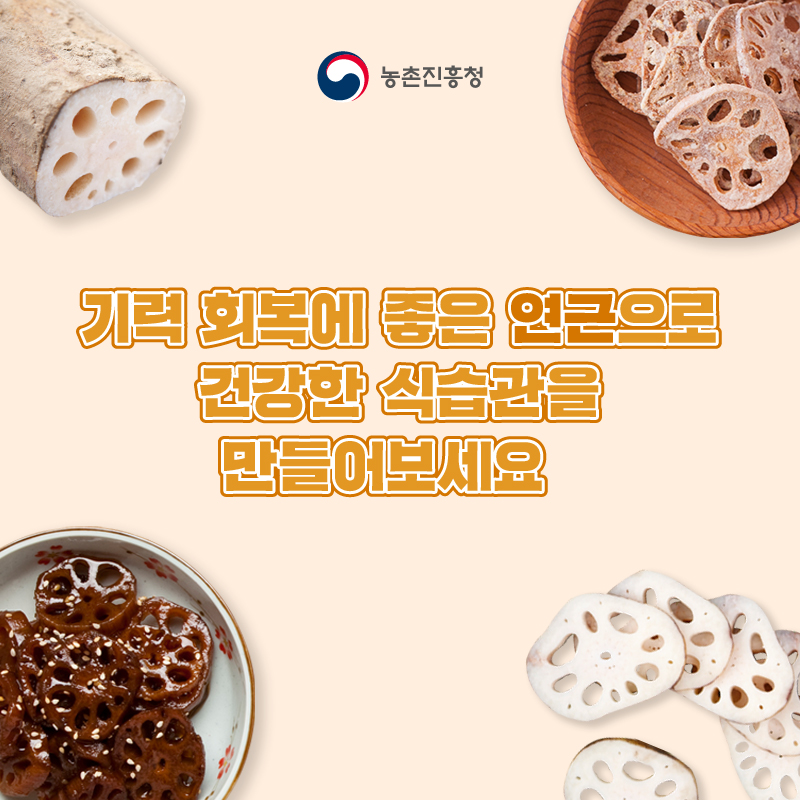 기력 회복에 좋은 연근으로 건강한 식습관을 만들어보세요