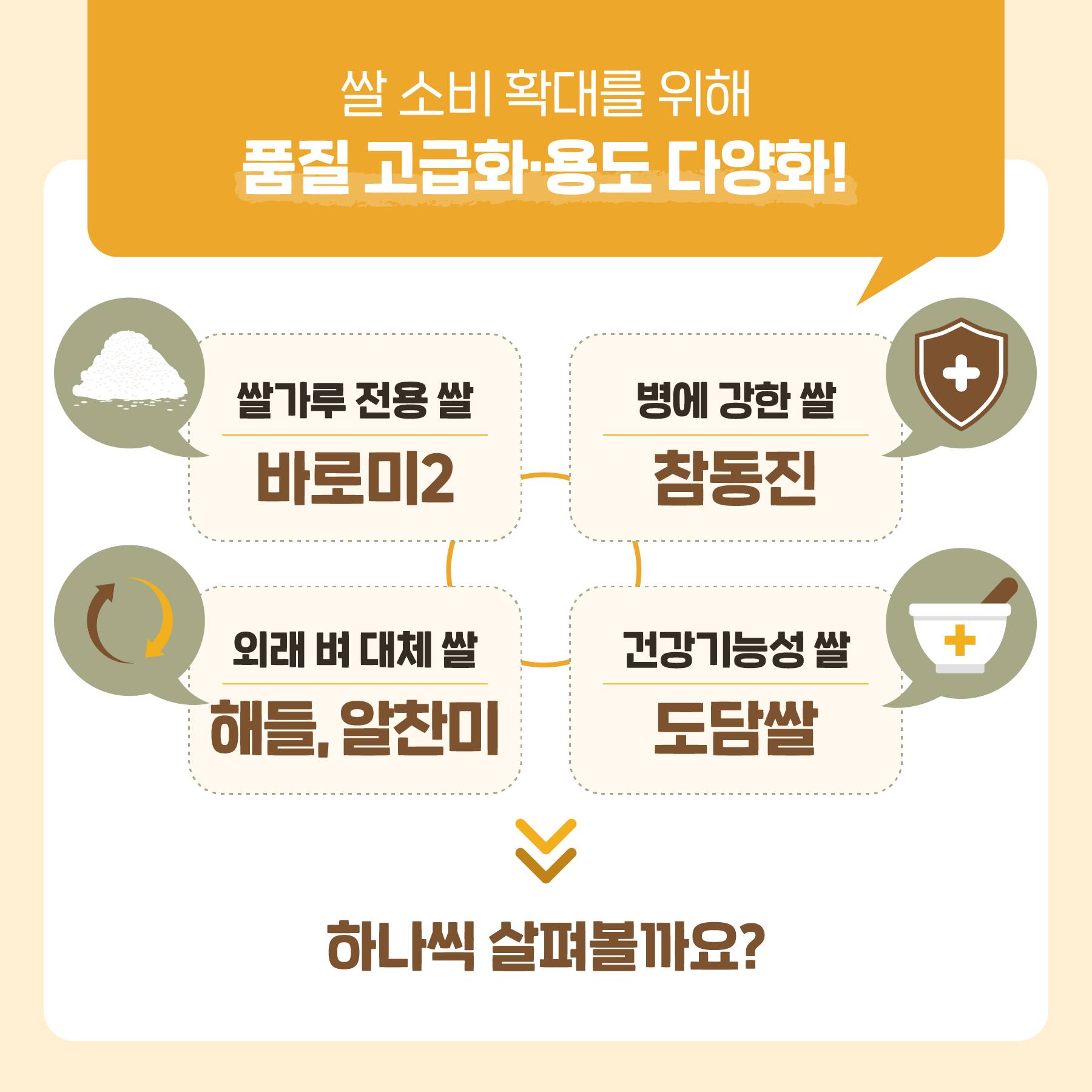 쌀 소비 확대를 위해 품질 고급화·용도 다양화! 쌀가루 전용 쌀 바로미2 , 병에 강한 쌀 참동진, 외래 벼 대체 쌀 해들, 알찬미, 건강기능성 쌀 도담쌀 하나씩 살펴볼까요?