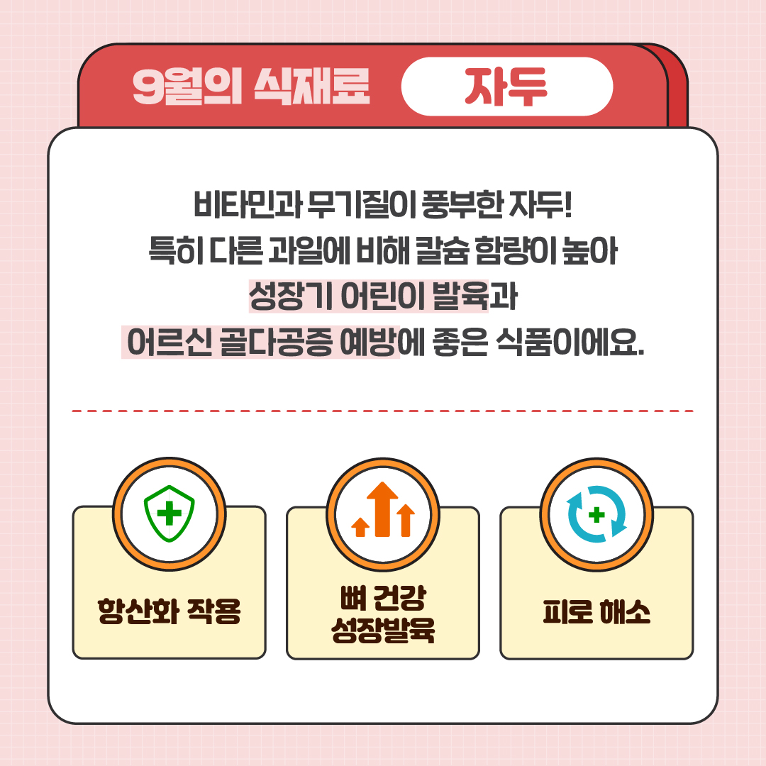 9월의 식재료 자두 비타민과 무기질이 풍부한 자두! 특히 다른 과일에 비해 칼슘 함량이 높아 성장기 어린이 발육과 어르신 골다공증 예방에 좋은 식품이에요. 항산화 작용, 뼈 건강 성장발육, 피로해소 