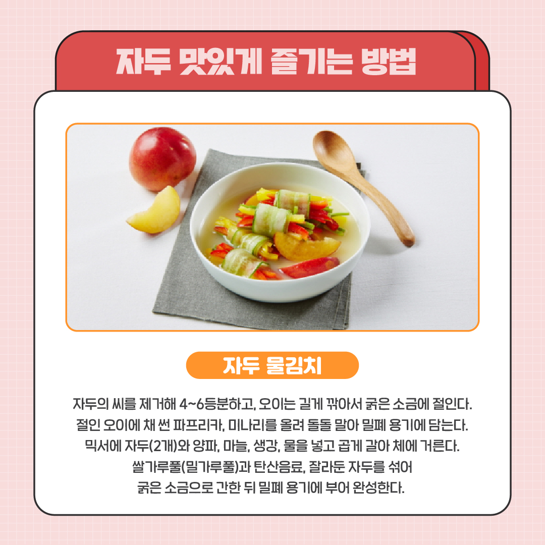 자두 맛있게 즐기는 방법 자두 물김치- 자두의 씨를 제거해 4~6등분하고, 오이는 길게 깎아서 굵은 소금에 절인다. 절인 오이에 채 썬 파프리카, 미나리를 올려 돌돌 말아 밀폐용기에 담는다. 믹서에 자두(2개)와 양파, 마늘, 생강, 물을 넣고 곱게 갈아 체에 거른다. 쌀가루풀(밀가루풀)과 탄산음료, 잘라둔 자두를 섞어 굵은 소금으로 간한 뒤 밀폐 용기에 부어 완성한다.