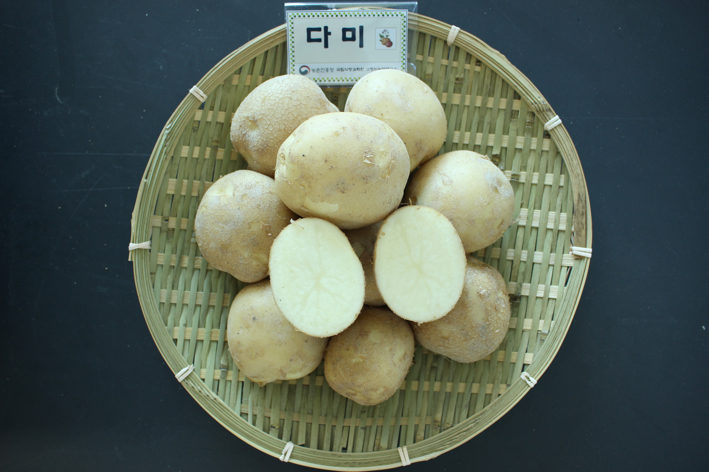 다미연구소 이미지