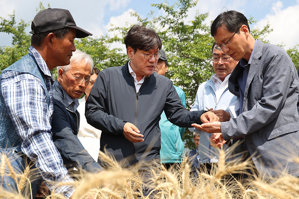 지역 거점 국산 밀 전문 제분 시설 현장 방문