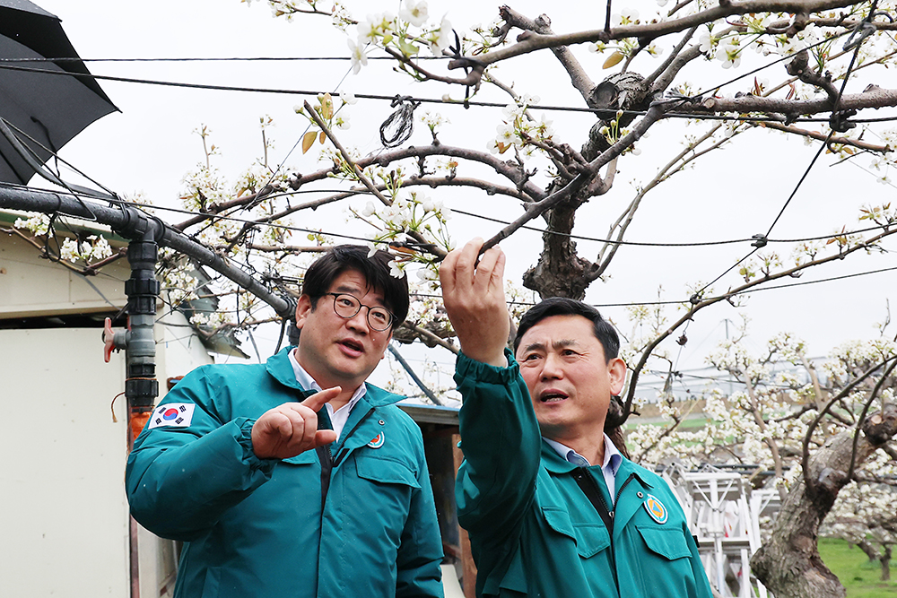 과수화상병_방제_현장_점검1