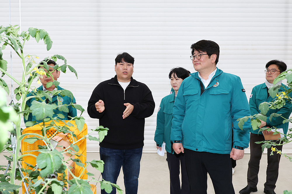 토마토뿔나방_방제_현장_점검1