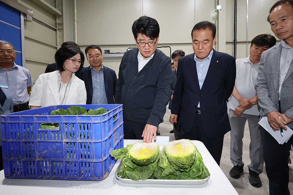 저장기술_적용_현장점검