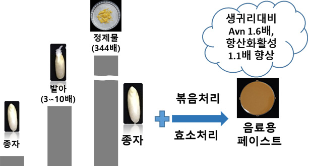 가공기술 개발