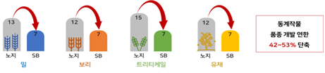 동계작물 품종 개발 연한 42~53% 단축 이미지