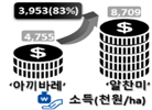 경영분석