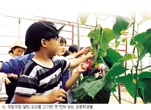 주렁주렁 달린 오이를 신기한 듯 만져 보는 초등학생들.