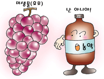 하얀 가루는 농약이 아닙니다