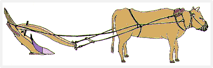 쟁기를 매고 있는 소