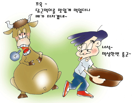 소가 담금먹이를 먹고 배불러하는 모습