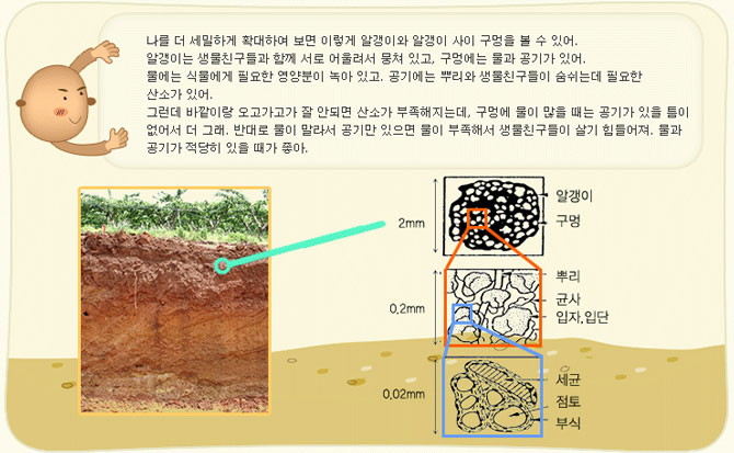 흙돌이의 구멍에는 물과 공기가 있는데 적당히 있을 때가 생물 친구들이 살기 좋아