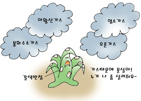  오염된 공기에 피해를 받은 식물의 모습