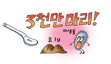 흙1g에는 3천만마리의 미생물이 살고 있다.