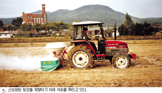 산성화 된 토양을 개량하기 위해 석회를 뿌리고 있다.