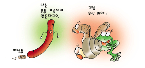 흙을 기름지게 만드는 지렁이