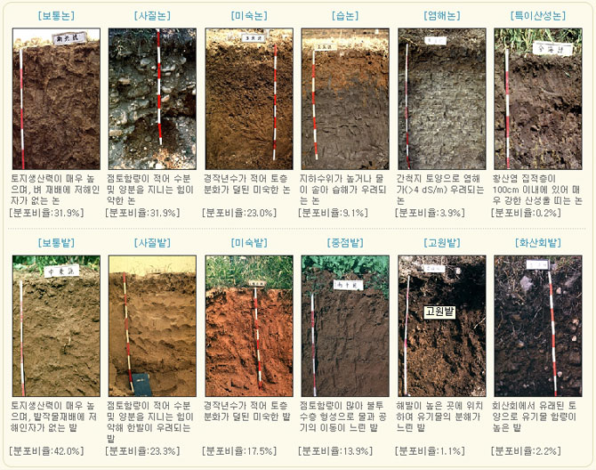 우리나라의 논과 밭토양