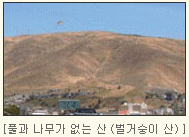 풀과 나무가 없는 산 (벌거숭이 산)