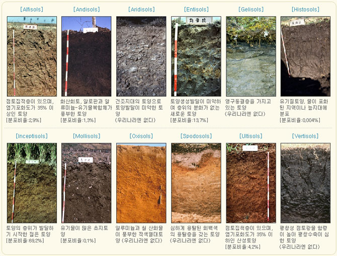 세계의 토양분류(최상위 분류단위 12개 목)