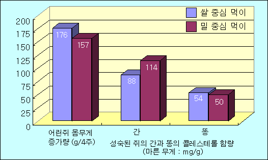 쌀 중심 먹이와 밀 중심 먹이의 효과 비교