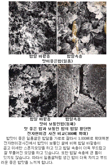 맛 좋은 밥과 보통인 밥의 밥알 횡단면 전자현미경 사진 비교(300배 확대)