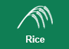 Agricultural Extension