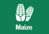 Basic Agricultural Science