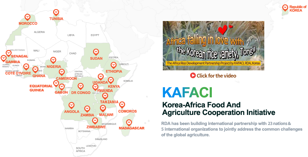 KAFACI MAIN TAP1